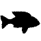 Fish icon.