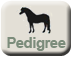 Click here to view Dot's pedigree.