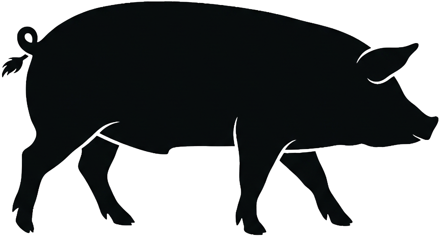 Pig icon.
